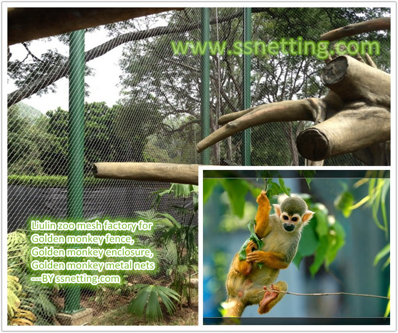 Monkey fence, monkey enclosure, monkey mesh applied in zoo animal enclosure.