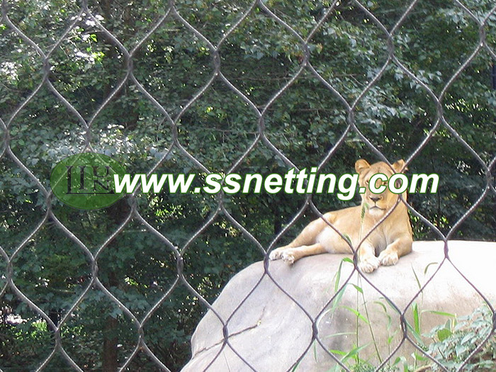 Zoo mesh code 1/8inch x 3inch for lion barrier netting