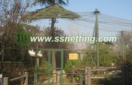 aviary mesh (1)-1 aviary mesh (1)-1