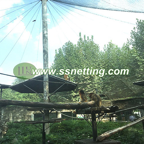 Monkey Enclosure & Fence & Netting & Mesh sale and export in China Monkey Enclosure & Fence & Netting & Mesh sale and export in China