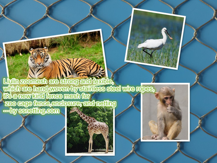 Stainless steel Zoo mesh include kinds of animal fence, animal enclosure, bird netting