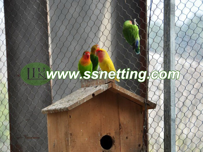 Stainless steel wire cable netting mesh for small parrots netting