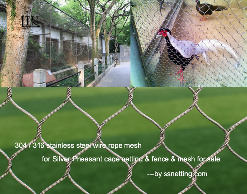 316 stainless steel wire rope mesh for Silver Pheasant cage netting & fence & mesh for sale.jpg 316 stainless steel wire rope mesh for Silver Pheasant cage netting & fence & mesh for sale.jpg