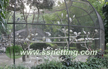 Paradise bird netting, Canary netting, chaffinch netting Paradise bird netting, Canary netting, chaffinch netting
