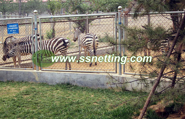 ox exhibit fence, calf barrier fence, camel cage fence netting mesh ox exhibit fence, calf barrier fence, camel cage fence netting mesh