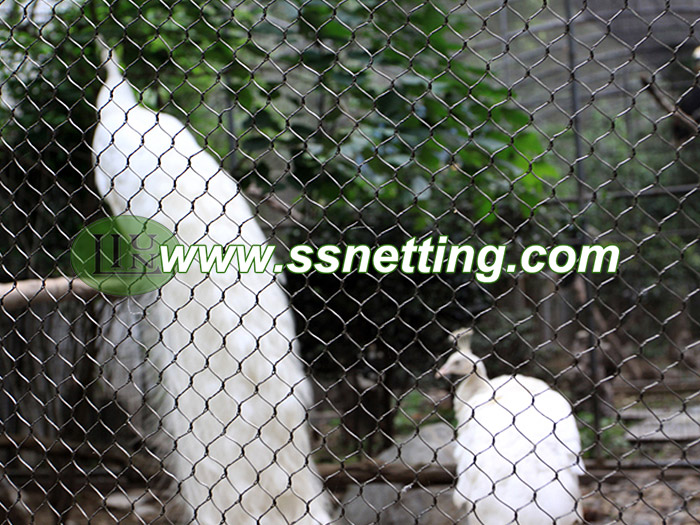 Whooping Crane netting, Black-necked Crane netting, Demoiselle Crane netting Whooping Crane netting, Black-necked Crane netting, Demoiselle Crane netting