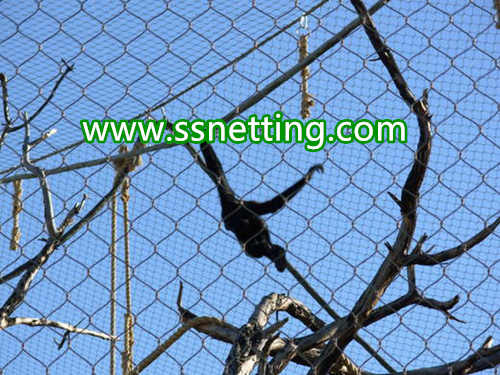 gorillas cage fence, gorillas fence enclosure, gorillas enclosure mesh-liulin manufacturer custom production