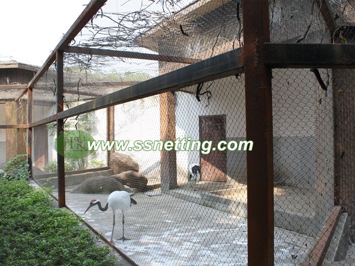 Upgrade for your aviary, choose the woven stainless steel aviary mesh