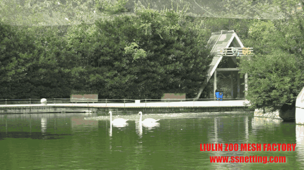 stainless steel wire rope mesh used for bird aviary park netting stainless steel wire rope mesh used for bird aviary park netting