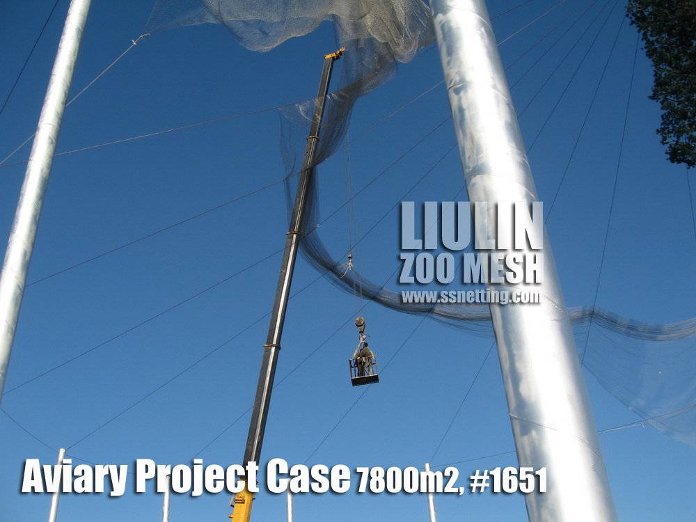 Aviary Project Case-11 Aviary Project Case-11