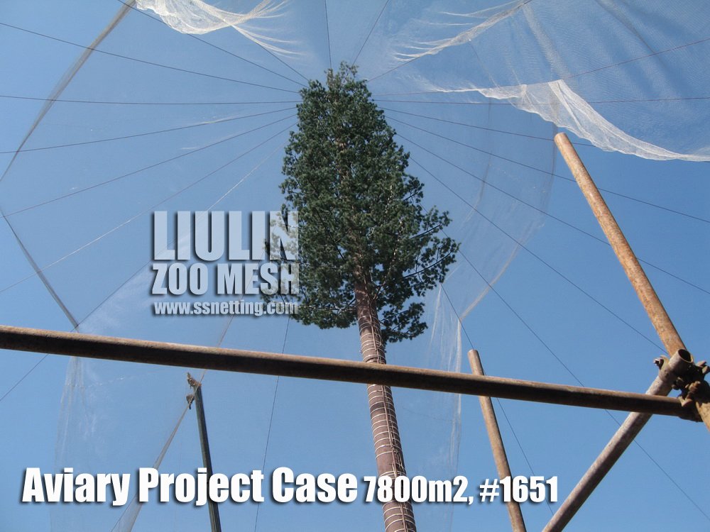 Aviary Project Case-15 Aviary Project Case-15