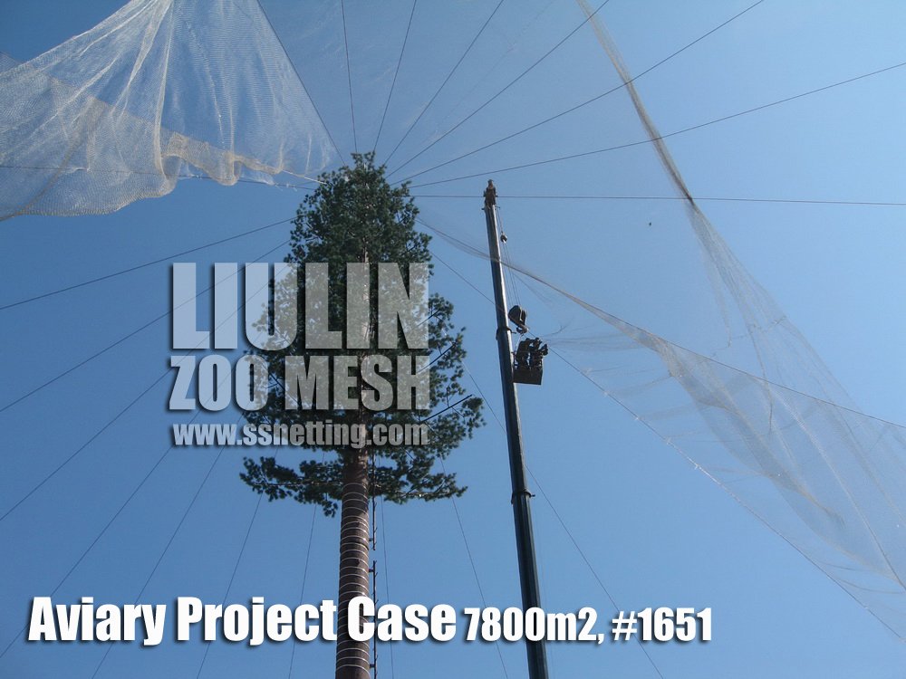 Aviary Project Case-03 Aviary Project Case-03