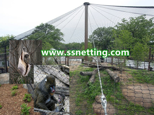 Large Monkey Cage Protection Netting / Monkey Fence - Stainless Steel Monkey Enclosure Mesh - stainless steel zoo mesh Large Monkey Cage Protection Netting / Monkey Fence - Stainless Steel Monkey Enclosure Mesh - stainless steel zoo mesh