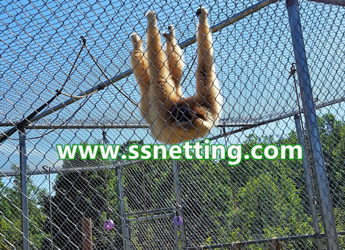 stainless steel rope mesh for zoo animal cage protection stainless steel rope mesh for zoo animal cage protection
