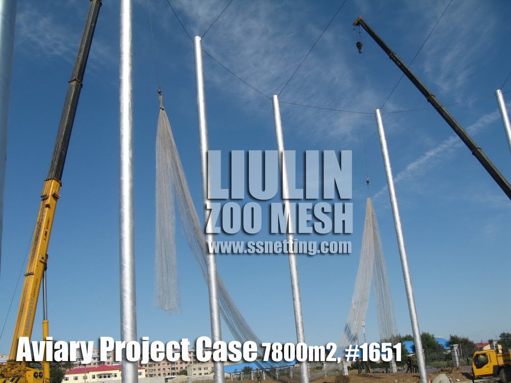 Aviary Project Case-04 Aviary Project Case-04