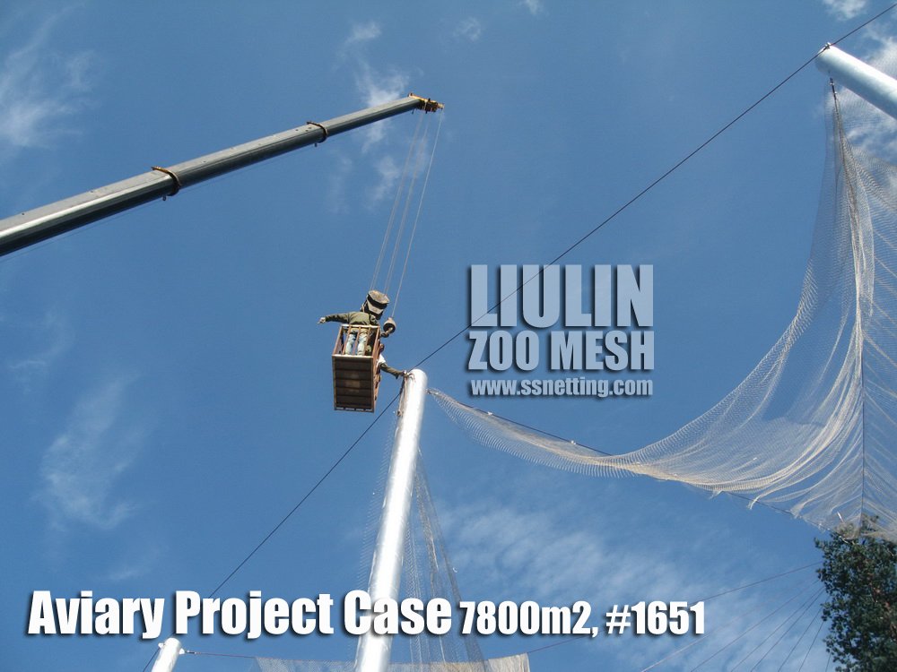Aviary Project Case-09 Aviary Project Case-09