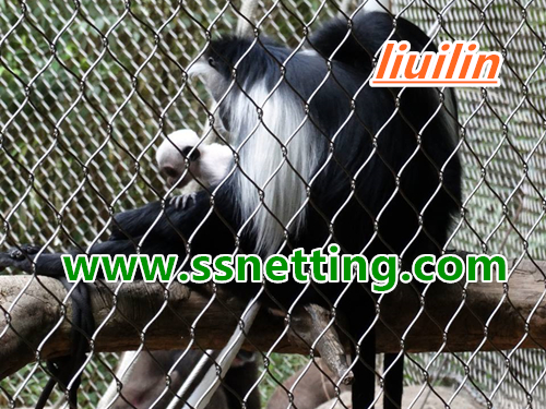 stainless steel monkey enclosure mesh, fence netting.jpg stainless steel monkey enclosure mesh, fence netting.jpg