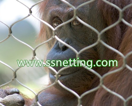Large panels mesh sales for monkey exhibit fence netting, monkey cage enclosures
