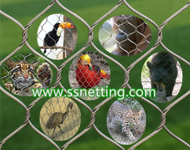 Project case using of stainless steel wire rope mesh for bird aviary netting