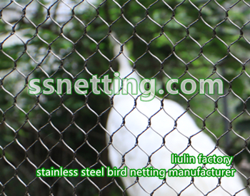 Woven aviary wire rope netting & fence used by zoo aviary exhibit | stainless steel aviary netting mesh
