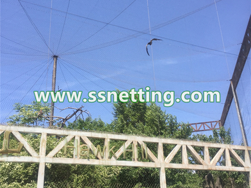 Stainless steel rope net, Zoo netting, Zoo fencing mesh – liulin wire rope netting supplier