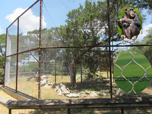 Mesh Enclosures For Zoos - A Solution for Safety and Aesthetics