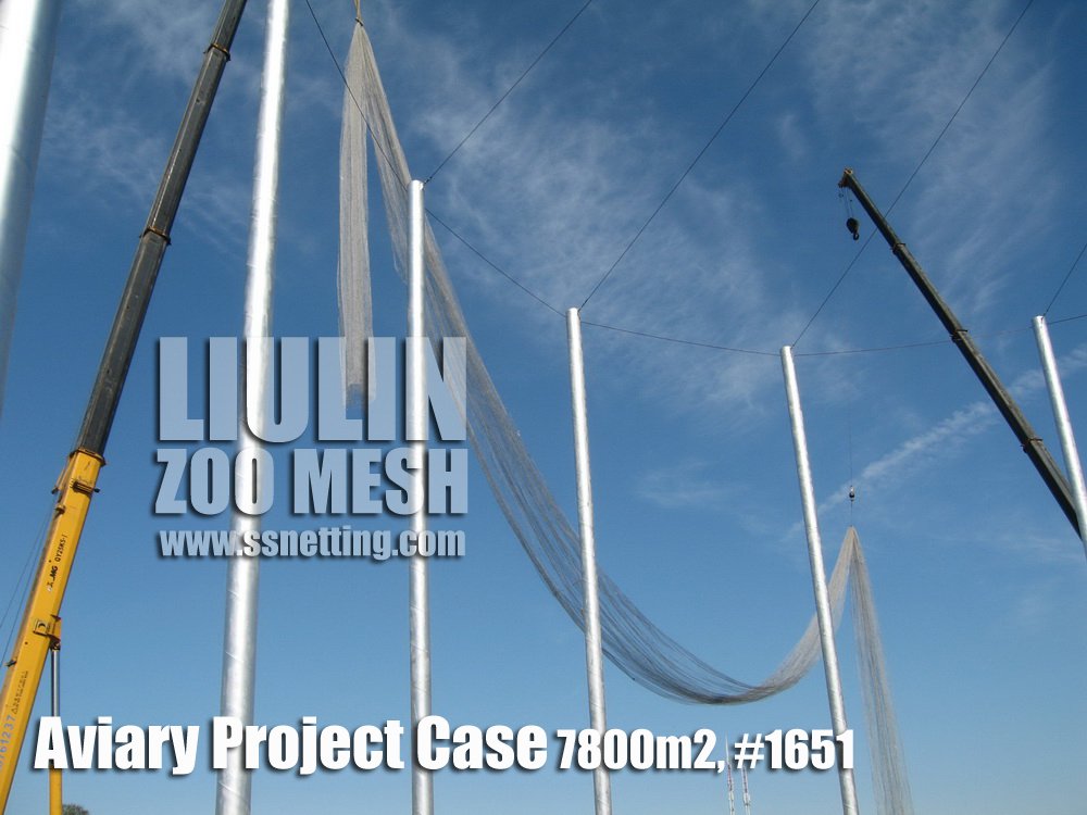 Aviary Project Case-05 Aviary Project Case-05