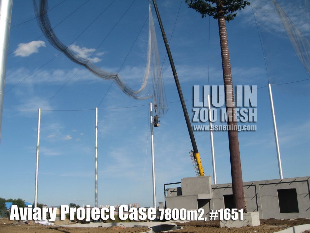 Aviary Project Case-10 Aviary Project Case-10