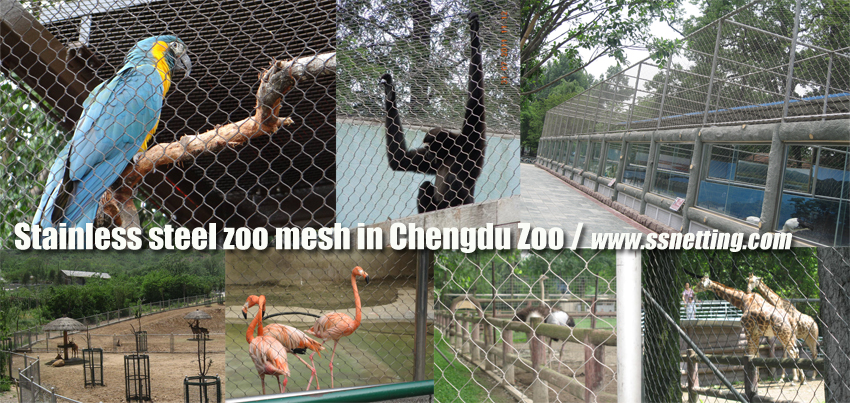 Stainless steel zoo mesh in Chengdu Zoo