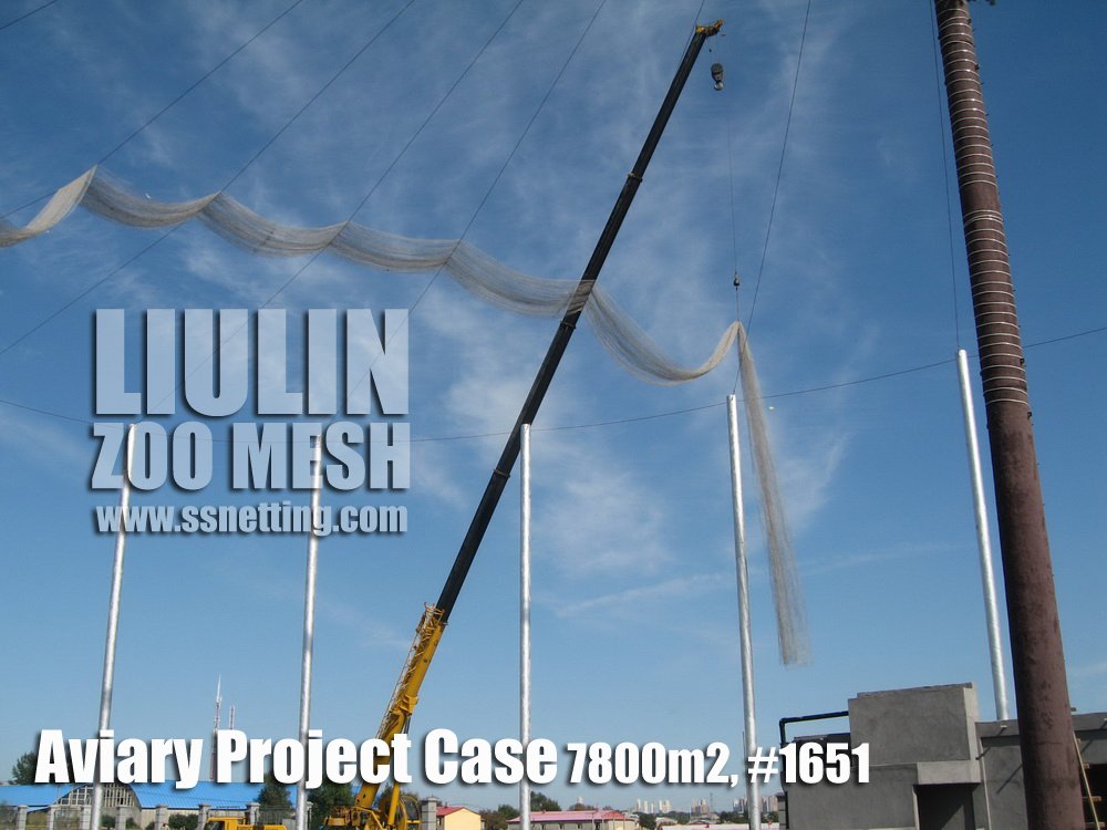 Aviary Project Case-06 Aviary Project Case-06