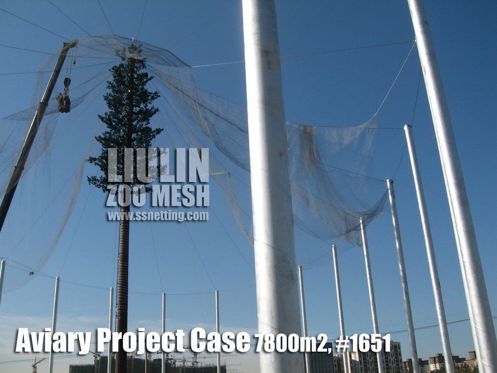 Aviary Project Case-13 Aviary Project Case-13