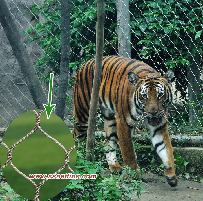 The Importance and selection of Zoo Mesh