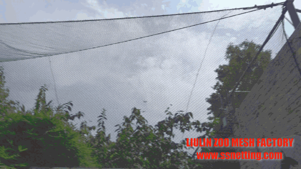 aviary park roof netting projects in China aviary park roof netting projects in China