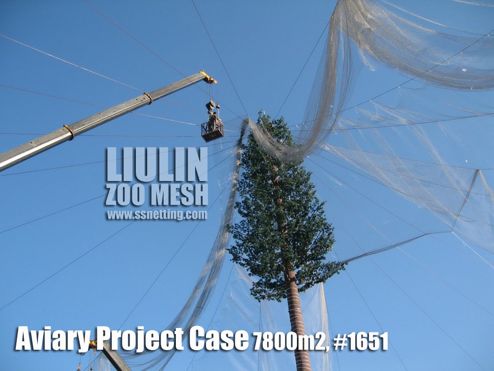 Aviary Project Case-12 Aviary Project Case-12