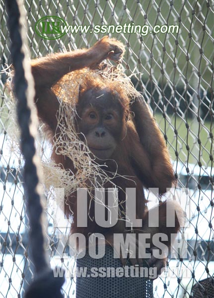 wire rope mesh ferrule mesh orangutan wire rope mesh ferrule mesh orangutan