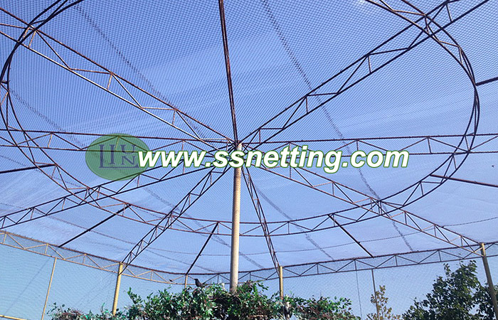 Aviary Netting mesh, avairy mesh Aviary Netting mesh, avairy mesh