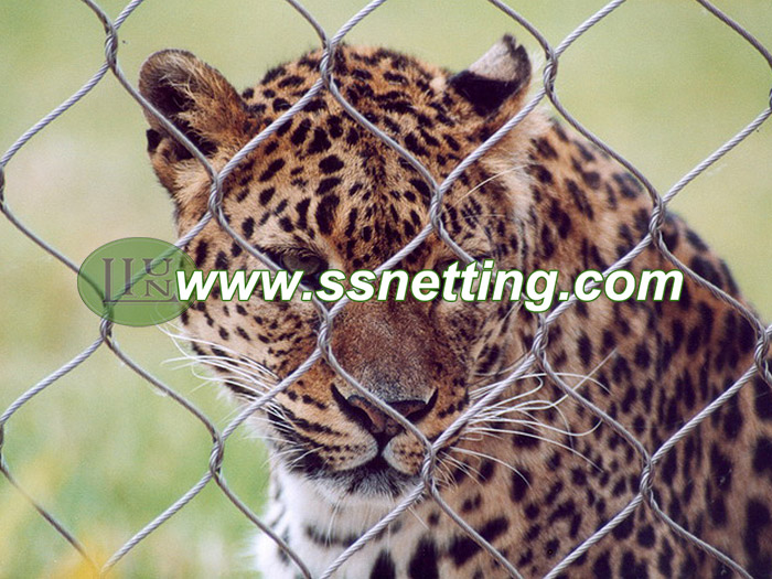 Project case of Feline enclosure mesh, Felid house fence netting