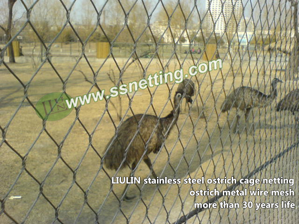 zoo ostrich cage fence netting, stainless steel metal ostrich fence mesh, ostrich cage netting