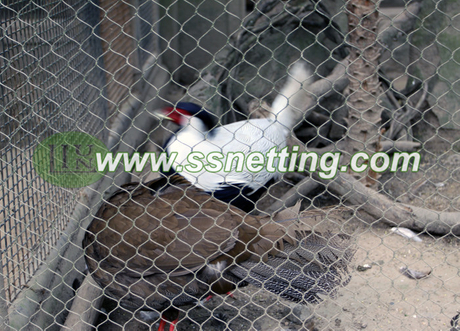 bird cages mesh (3).jpg