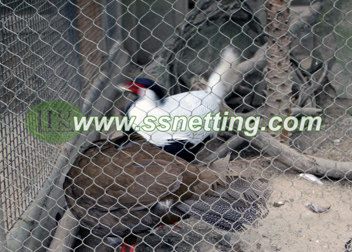 Stainless steel wire rope Koklass Pheasant cage netting for sale in China liulin zoo mesh factory