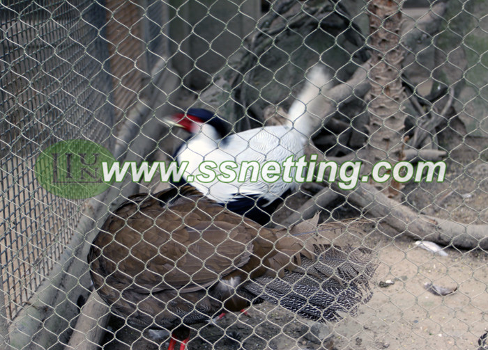 bird netting for zoo, bird aviary netting, bird cage protection netting, wire rope netting for bird exhibit, zoo netting for bird fence