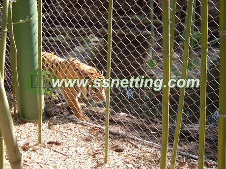 tiger enclosure mesh (5).jpg