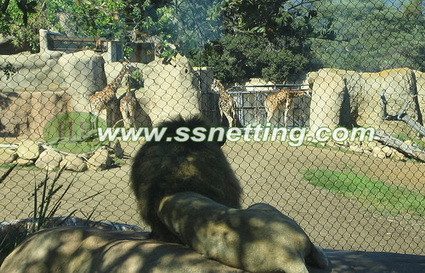 lion enclosure, zoo separation netting, lion cage barrier mesh