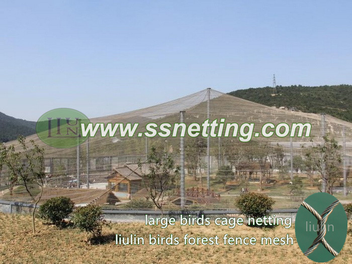 Large birds cage netting, birds forest mesh, the bird garden fence mesh, aviary fence netting, parrot cage mesh, Stainless steel rope mesh