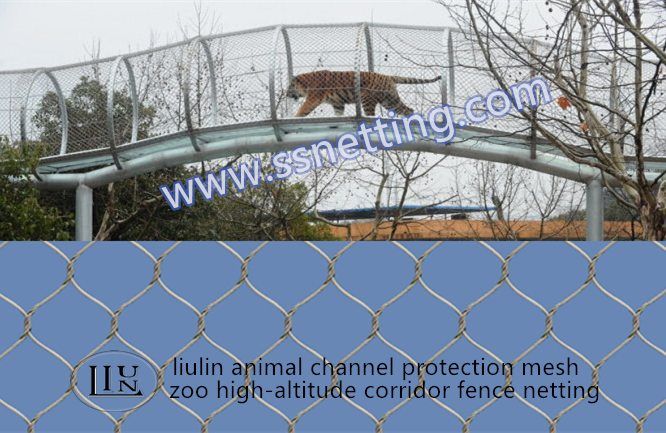 Animal channel protection mesh/ zoo high-altitude corridor fence mesh/ stainless steel ring fence netting