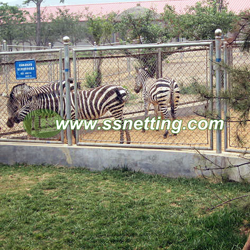 stainless steel wire rope