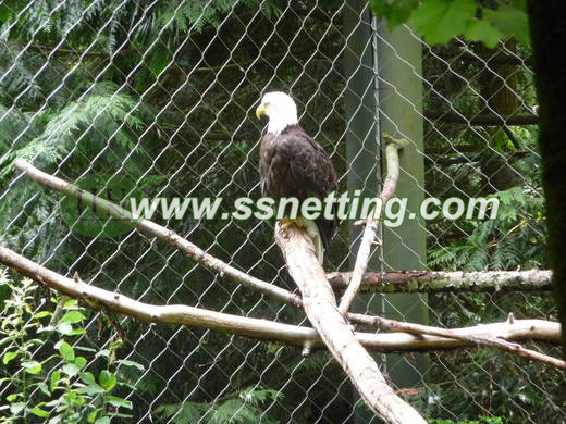 stainless steel bald eagle cage netting, bald eagle netting, eagle bird netting