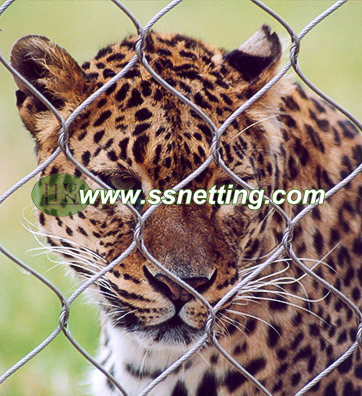 Panthers cage fence, catamount cage fence, leopard cage fence