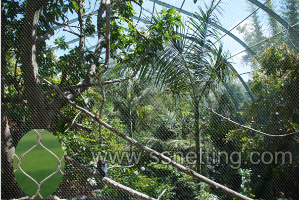 Stainless steel baboon enclosure netting