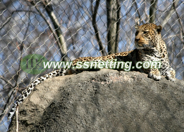 Leopard safety fence, leopard cage enclosure, panther cage protective fence